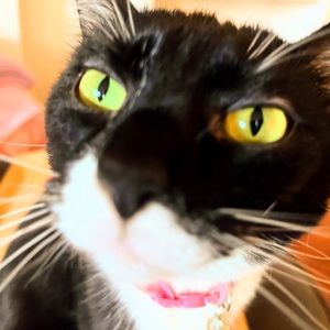 Meet your Posher, Stacy